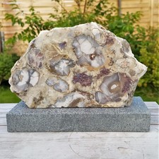 Tisch objekt Fossile Koralle