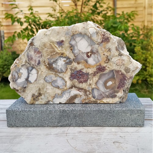 Tisch objekt fossile - fossile, koralle