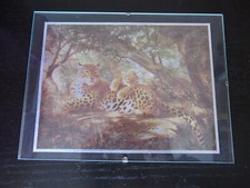 Bild mit schillernden Effektfarben Tiger + Tigerbaby 20 x 15 cm im Rahmen