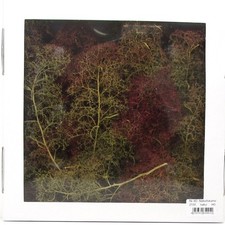 Spur H0/N Jordan Modellbau