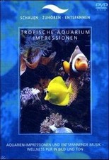 Tropische Aquarium