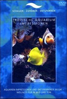 Tropische aquarium - tropische,