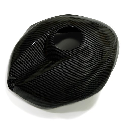 Carbon fiber paint - paint, fuel