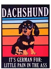 Lustiges Blechschild Dackel Dachshund Hunde Teckel Deko Plakat Schild Geschenk 