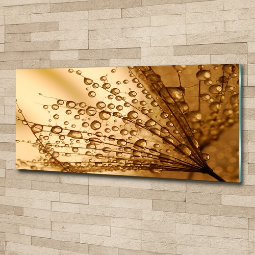 Acrylglas bild wandbilder - acrylglas-bild,