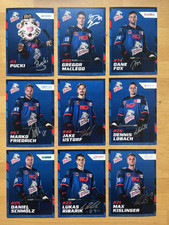 29 AK Nürnberg Ice Tigers