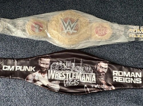 Wwe punk roman - punk,
