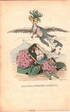 Kol. Lithographie Grafik 19 Jh. Les Fleurs animee Mode Damen Pflanzen Karikatur