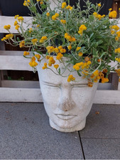  Gesicht aus Beton Weiß Gartendekoration schwere Ausführung