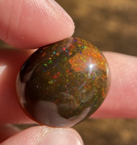 Brauner welo opal poliert 7 - poliert, 21,7