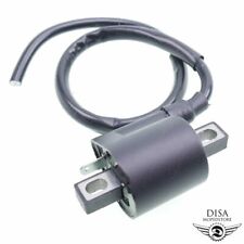 Zündspule m. Zündkabel für