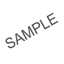 Ina Zylinderrollenlager