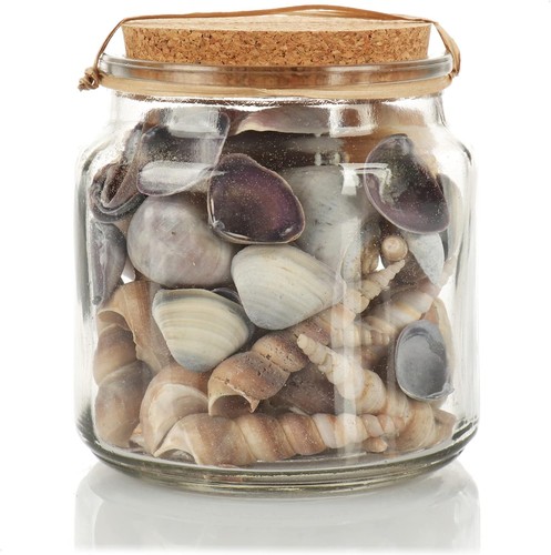 Com four deko muscheln - com-four®, deko-muscheln