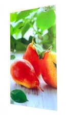 BILD ACRYLBILD LEINWAND KEILRAHMEN 30x60cm wie NEU Wanddeko Plexiglas Bilderrahm