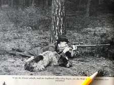 Hunting Hunter Hunting 1957
