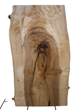 1x Nussbaum Ast Bohle Brett