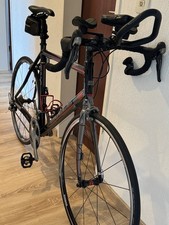 Bulls Desert Falcon 1 -