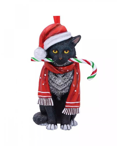 Katze mit zuckerstange - zuckerstange, &