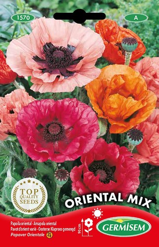 Riesenmohn samen germisem - riesenmohn,