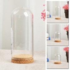 Glashaube cloche glas haube - glashaube,