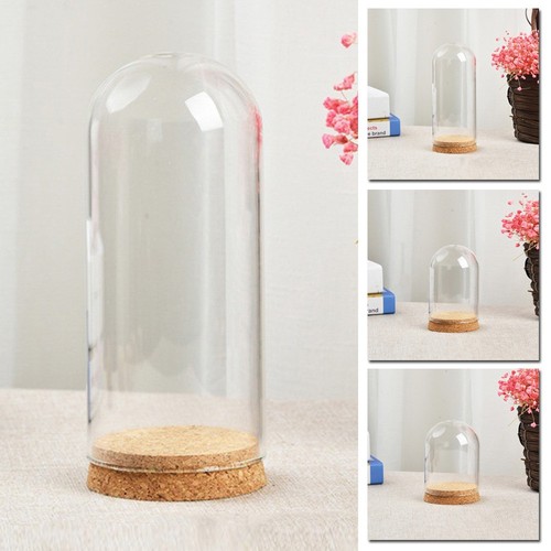 Glashaube cloche glas - cloche,