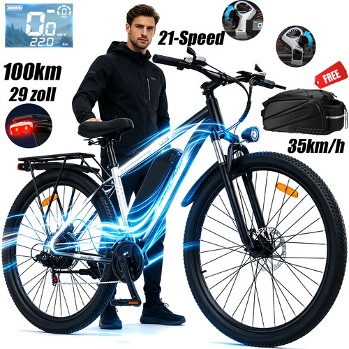 Zoll elektrofahrrad - 29,