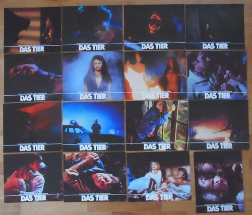 Das tier 16 - das, aushangfotos