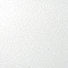 50x ZANDER ZETA GEHÄMMERTES