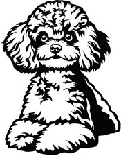 PUDEL Kleinpudel Aufkleber -