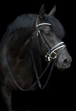 Otto Schumacher Trense Comfort