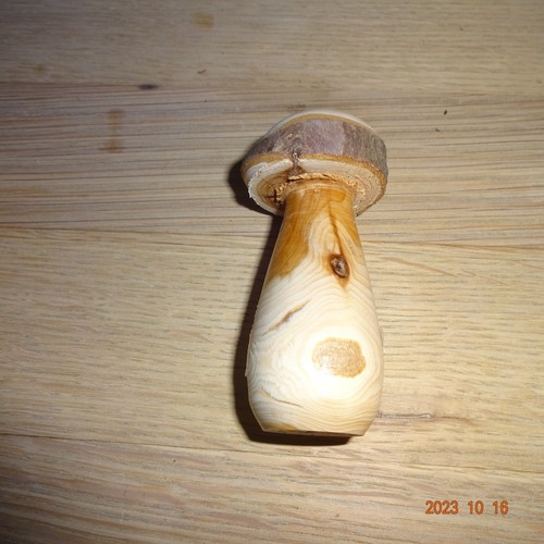 Pilz aus holz mittelgroß - aus,