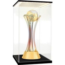 Acryl Vitrine LED Beleuchtung Schaukasten 25x25x40 cm für Modellautos Figuren