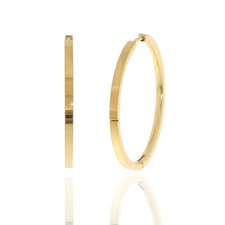 Creolen Titan vergoldet