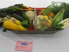 Foto 6x4 Von einem Blumenkohl