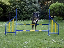 Agility Hürde Hunde
