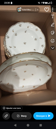 Limoge porzellan service - limoge, 81