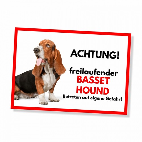 Basset hound freilaufender - basset,
