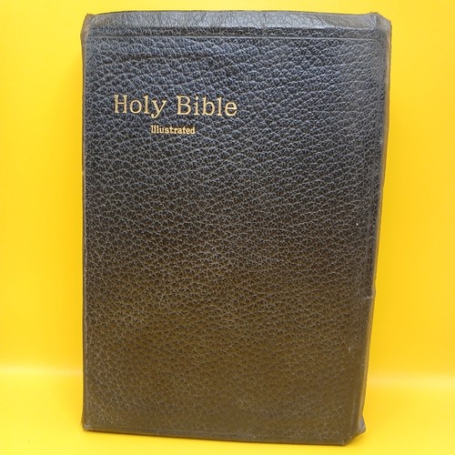 Heilige bibel illustrierte - bibel,