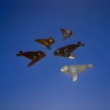 Playmobil Robben Set, 5 Stück