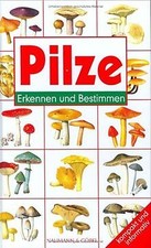 Pilze. Erkennen und bestimmen von Derek Reid | Buch | Zustand sehr gut