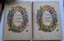 Maria sibylla merian von - maria,