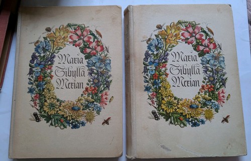 Maria sibylla merian von - sibylla,