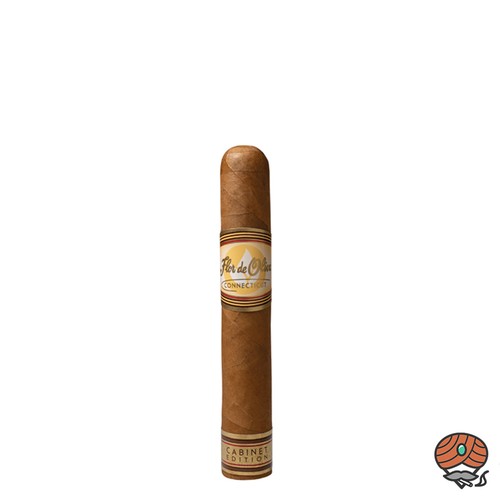 Flor oliva connecticut - flor, de