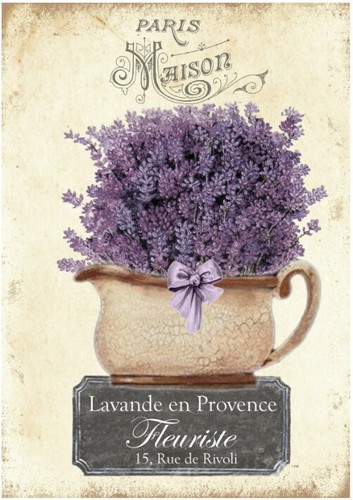 Decoupage-Bastelpapier-Softpap