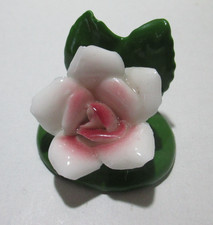 Rose Rosenblüte Miniatur