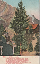 Alte Motiv Farb - Ak "Tief im Böhmerwald"; Kleinformat; gest. Elmshorn 3.7..05