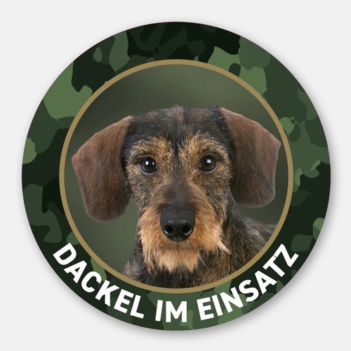 Dackel aufkleber auto rauhaar - dackel,