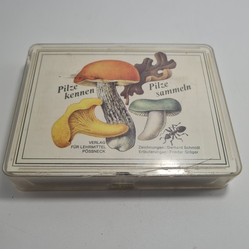 Pilze kennen sammeln - pilze,