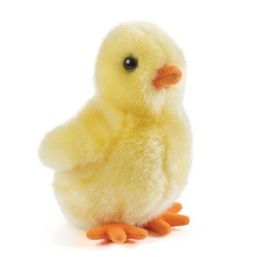 Küken gelb - küken, (baby-huhn)