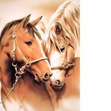 Diamond Painting Bastelset 20x30 cm – Zwei Pferde in Harmonie 5D ohne Rahmen